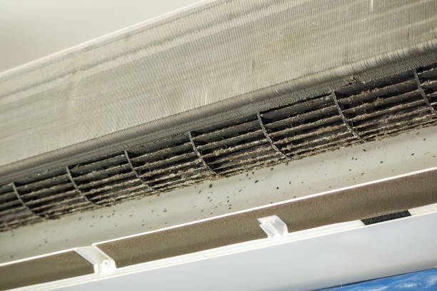 Best Duct Cleaning for Offices  in Jennings, MO